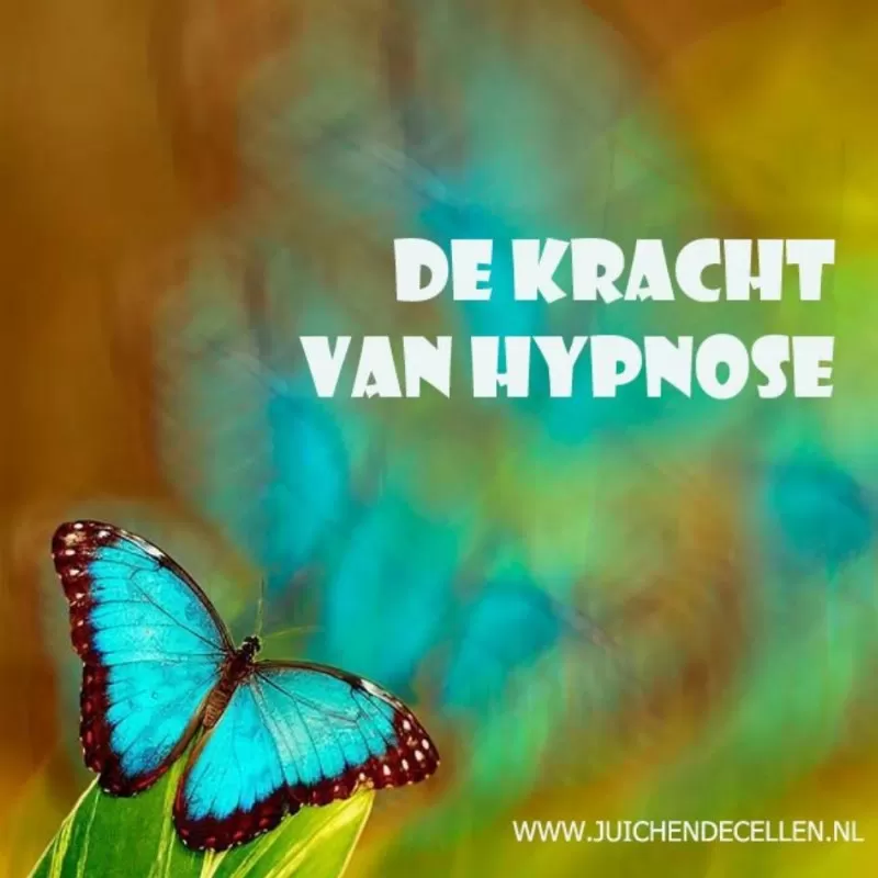 Christine Broekhuizen